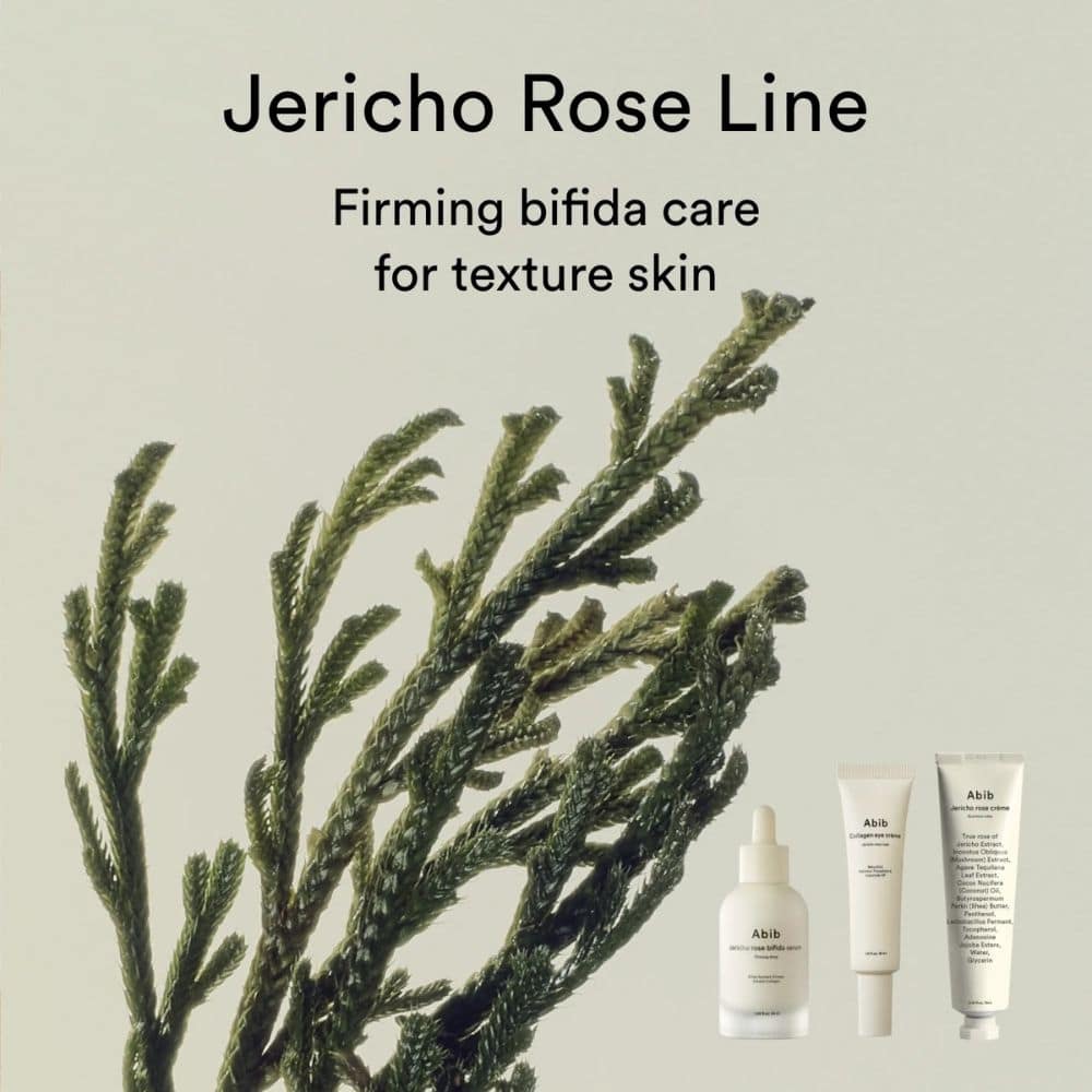 Abib Mild Acidic pH Sheet Mask Jericho Rose Fit