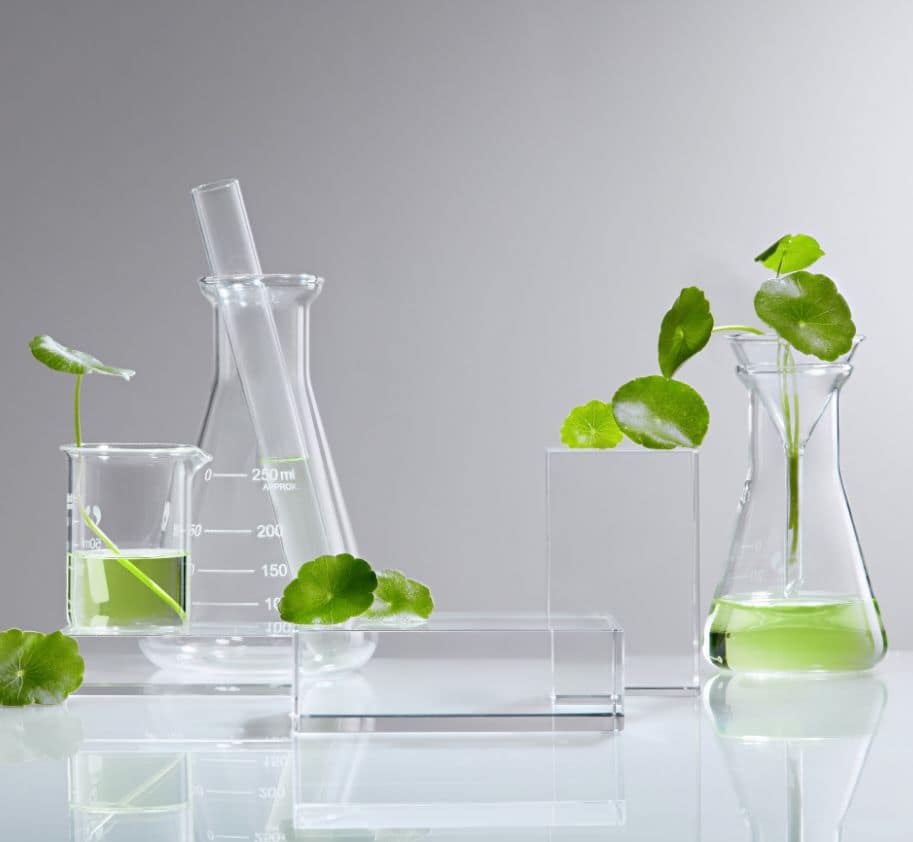 Centella Asiatica biljka kreme Centella Asiatica biljka kreme