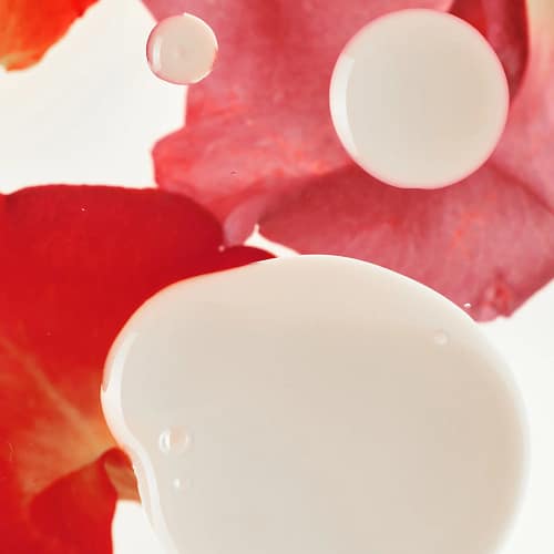 Haruharu Wonder Rose PDRN Soothing Serum 2